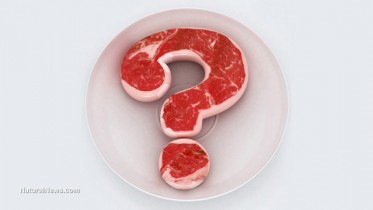 GMO-Question-Plate-Meat-Symbol