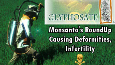 pesticde_spray_mask_toxic_skull_glyphosate