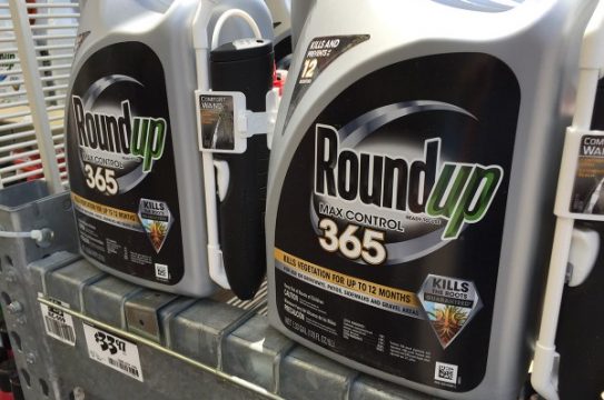 RoundUp-365-Herbicide-Bottles